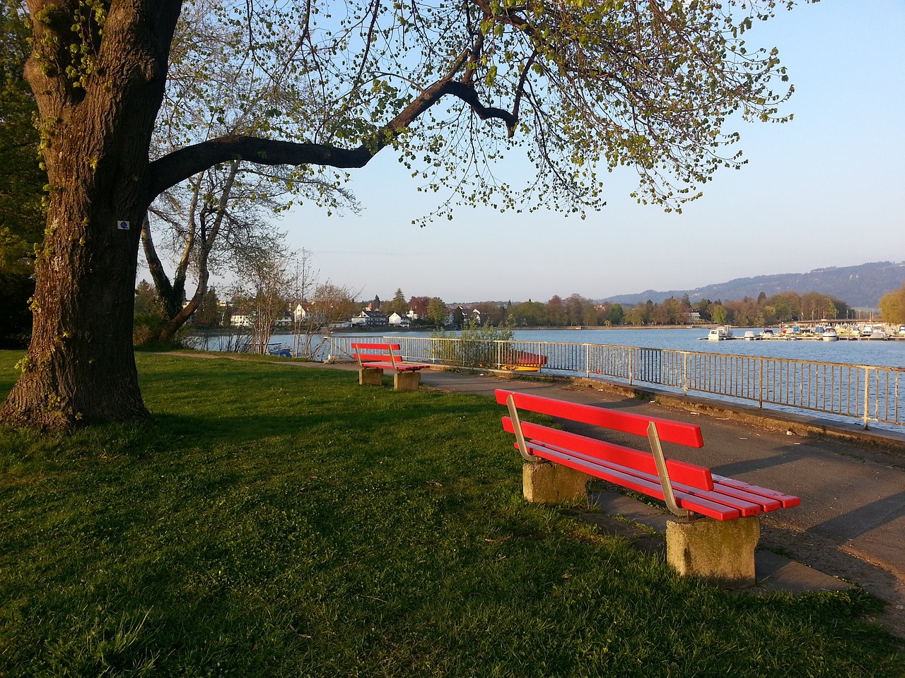 在詹姆斯复 在詹姆斯复