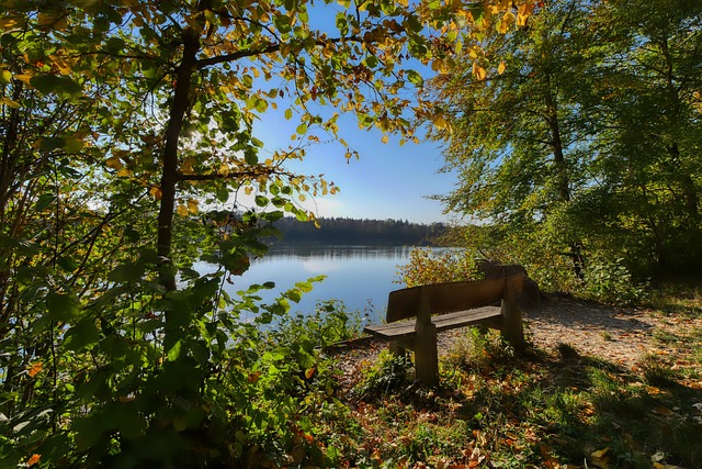 也让我们再 也让我们再