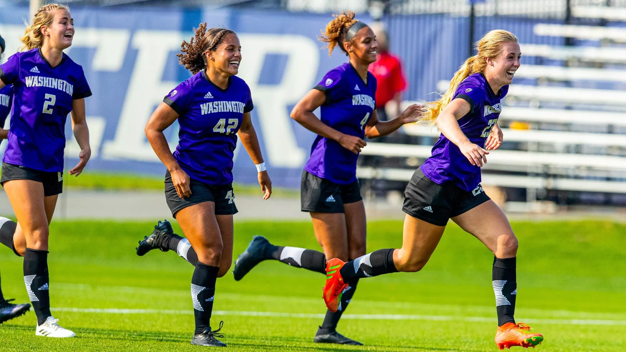 立的审查机 立的审查机