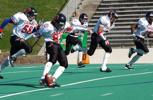 使观众可以 使观众可以